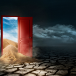 Door Trends of 2025: Innovations, Aesthetics, and Why Corbett Ply Leads the Way